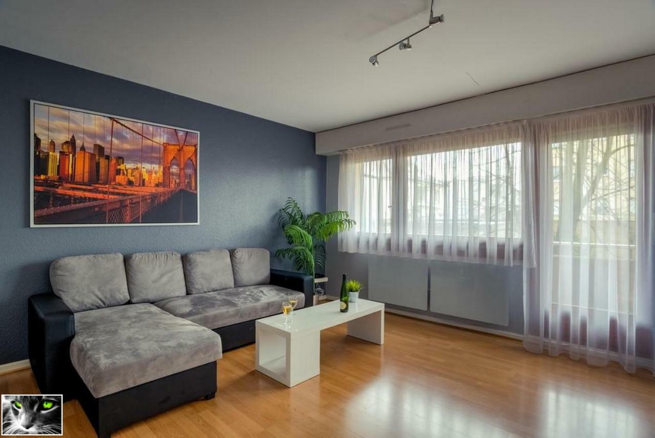 Appartement Spacieux Schiltigheim Ngoại thất bức ảnh