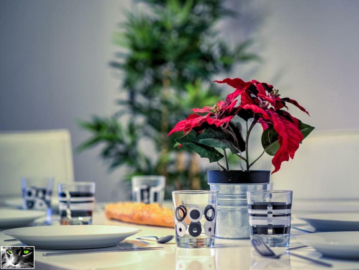 Appartement Spacieux Schiltigheim Ngoại thất bức ảnh