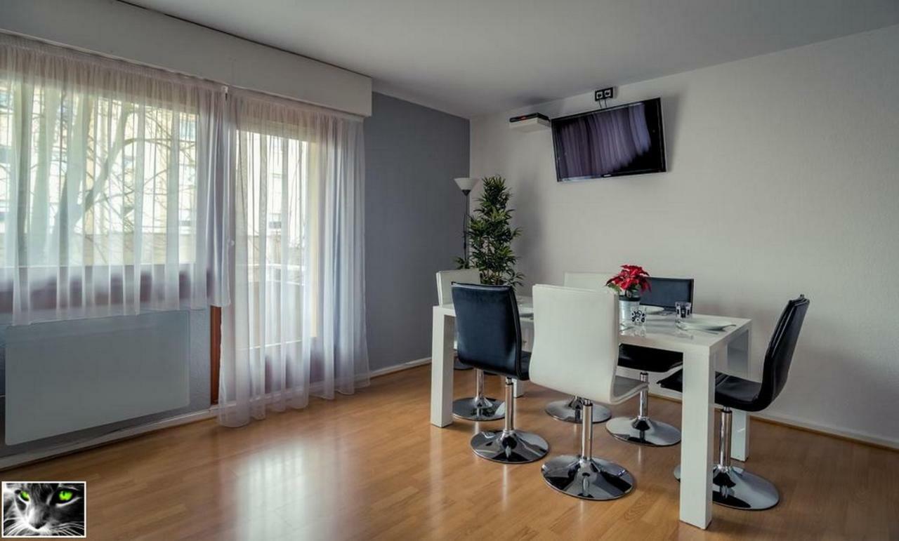 Appartement Spacieux Schiltigheim Ngoại thất bức ảnh