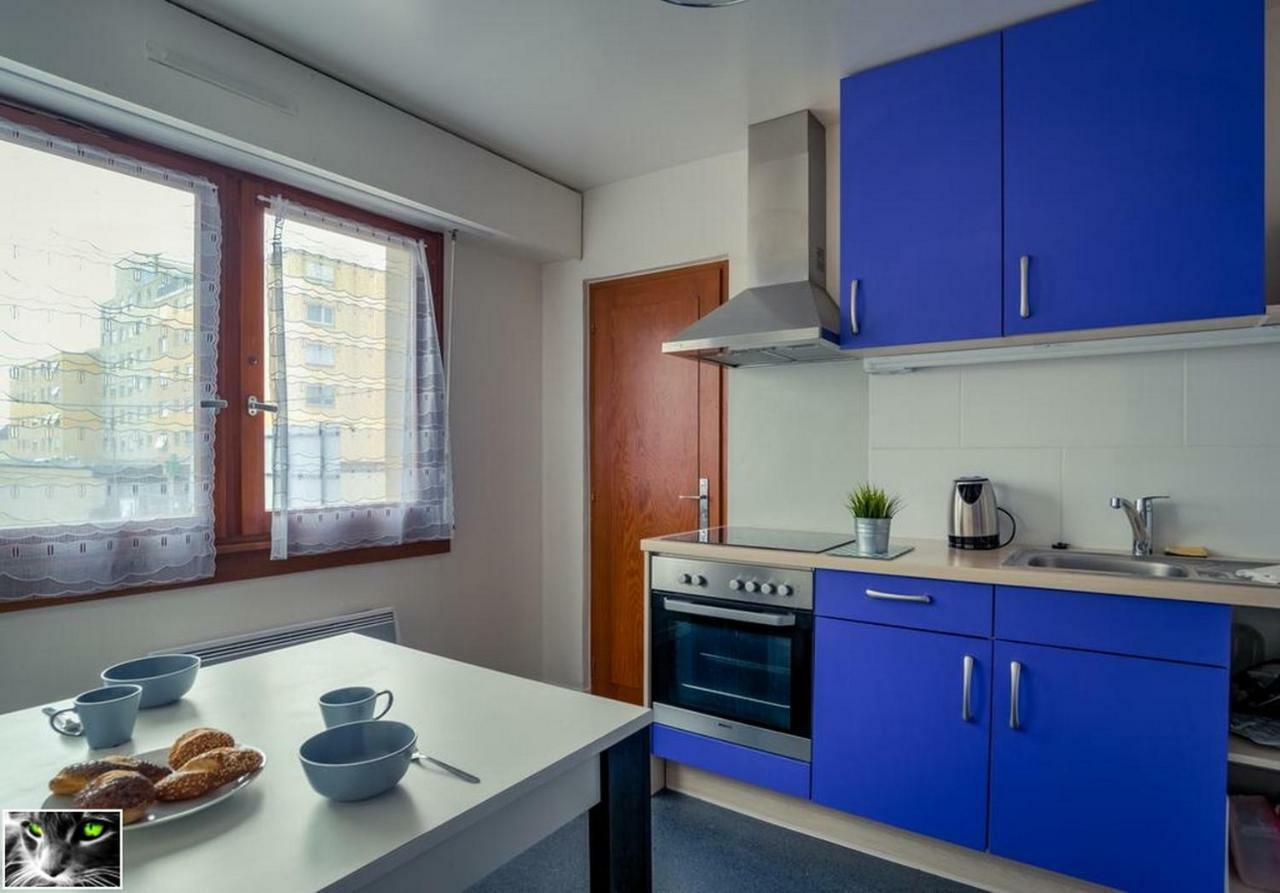 Appartement Spacieux Schiltigheim Ngoại thất bức ảnh