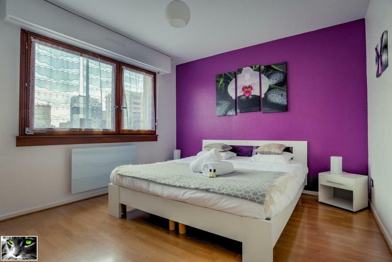 Appartement Spacieux Schiltigheim Ngoại thất bức ảnh